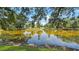 Scenic view of the pond reflecting the surrounding trees and blue sky at 9050 Lake Place Ln, Tampa, FL 33634