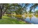 Beautiful pond view with mature trees and lush green surroundings at 9050 Lake Place Ln, Tampa, FL 33634