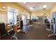 The fitness center offers residents free weights, weight machines, stretching area, mirror and multiple TVs at 9487 Raised Tulip Ln, Land O Lakes, FL 34637