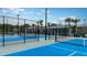 Community pickleball courts feature a well-maintained court for outdoor recreation and social enjoyment at 9711 Minnow Ray Dr, Land O Lakes, FL 34638