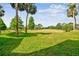 Expansive green backyard offers a serene backdrop of mature trees at 13618 Greenfield Dr # 105, Tampa, FL 33618
