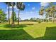 Scenic view of a lush green golf course with palm trees on a sunny day at 13618 Greenfield Dr # 105, Tampa, FL 33618