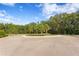 Circular community entrance featuring lush palm trees and greenery under a bright blue sky at 14110 Damselfly Dr, Tampa, FL 33625