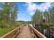 Picturesque wooden dock extends over calm waters, framed by lush trees under a bright blue sky at 14110 Damselfly Dr, Tampa, FL 33625