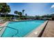Inviting community pool with lounge chairs and palm trees at 1799 N Highland Ave # 106, Clearwater, FL 33755