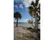 Picturesque beach scene with swaying palm trees, soft white sand, and calm turquoise waters at 3835 Sailmaker Ln # X, Holiday, FL 34691