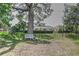 Expansive backyard view of the estate, framed by mature trees and a secure black fence at 6820 Muncaster Ct, Tampa, FL 33625