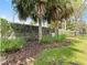 View of a lush backyard adorned with vibrant green foliage and tropical palm trees at 6820 Muncaster Ct, Tampa, FL 33625