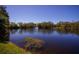 A tranquil pond featuring a fountain, surrounded by lush trees and vegetation, offering a peaceful vista at 714 1St Ct, Palm Harbor, FL 34684