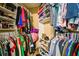 Walk-in closet is well-organized with shelves and clothing racks at 8736 Huntfield St, Tampa, FL 33635