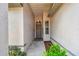 Welcoming entryway features a classic front door with textured walls, and a decorative hanging light at 8736 Huntfield St, Tampa, FL 33635