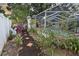 Pathway with landscaping that leads to a screened-in pool at 8740 15Th N St, St Petersburg, FL 33702