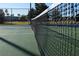 A view of a tennis court net with a residential community surrounded by fencing in the background on a clear sunny day at 9406 Gladsome Dr, Land O Lakes, FL 34637