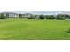 Expansive grassy backyard with trees and building in the background at 1119 Ballard Green Pl, Brandon, FL 33511