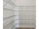 Walk-in pantry featuring ample metal shelving for organized storage of groceries and household items at 1119 Ballard Green Pl, Brandon, FL 33511