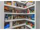 Well-organized pantry with ample shelving, showcasing storage space for groceries and household items at 11322 Lake Lucaya Dr, Riverview, FL 33579