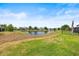 Picturesque view of the pond with manicured grass, mature trees and surrounding houses at 11322 Lake Lucaya Dr, Riverview, FL 33579