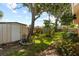 Landscaped backyard featuring a storage shed and mature trees providing ample shade at 1453 62Nd S Ter, St Petersburg, FL 33705