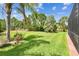 Landscaped backyard with lush green lawn, palm trees and tropical foliage adjacent to screened-in patio at 16101 Cape Coral Dr, Wimauma, FL 33598