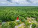 Aerial view of a home surrounded by lush forest, offering privacy and natural beauty at 23739 Forest View Dr, Land O Lakes, FL 34639