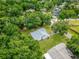 Aerial shot of the home showcasing its fenced yard and lush surroundings at 23739 Forest View Dr, Land O Lakes, FL 34639