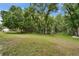 Large, green backyard with mature trees offering shade and privacy at 23739 Forest View Dr, Land O Lakes, FL 34639