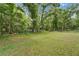 Expansive backyard with lush greenery, providing privacy and a peaceful natural setting at 23739 Forest View Dr, Land O Lakes, FL 34639