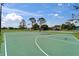 Outdoor basketball court with green surface, white lines, and multiple hoops at 23739 Forest View Dr, Land O Lakes, FL 34639