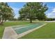 Outdoor shuffleboard courts with painted lines, surrounded by grass and trees at 23739 Forest View Dr, Land O Lakes, FL 34639