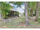 A backyard with a screened-in porch and mature trees at 330 Woods Landing Trail, Oldsmar, FL 34677