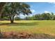 Expansive golf course view with lush green fairway and mature trees at 330 Woods Landing Trail, Oldsmar, FL 34677