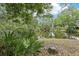 A serene pond surrounded by lush greenery and mature trees, creating a peaceful retreat at 330 Woods Landing Trail, Oldsmar, FL 34677