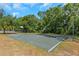 Outdoor basketball court with two hoops amid mature trees and a volleyball net under a blue sky at 3908 Lithia Ridge Blvd, Valrico, FL 33596