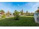Lush backyard with manicured lawn, young trees, and street view at 4605 Casswell Dr, New Port Richey, FL 34652