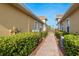 Exterior view of the home showing the walkway between units and lush landscaping at 4605 Casswell Dr, New Port Richey, FL 34652