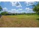 Expansive backyard featuring a well-maintained lawn and mature landscaping, perfect for outdoor activities and relaxation at 5507 Keeler Oak St, Lithia, FL 33547