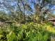 The property backs up to mature trees at 6073 115Th N Ave, Pinellas Park, FL 33782