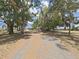 View of the home on a sprawling lot with mature trees at 6610 Myrna Dr, Tampa, FL 33619