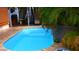 Backyard pool with a waterfall feature surrounded by plants at 101 S Maywood Ave, Clearwater, FL 33765
