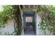 Enchanting walkway enveloped by lush greenery and foliage at 101 S Maywood Ave, Clearwater, FL 33765