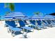 Blue and white umbrellas and lounge chairs by the pool at 17012 Oval Rum Dr, Wimauma, FL 33598