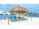 View of pool area with lounge chairs and umbrellas at 17012 Oval Rum Dr, Wimauma, FL 33598