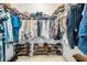 Walk-in closet with racks of clothing and multiple shelves of shoes maximizes organization and storage at 19608 Lonesome Pine Dr, Land O Lakes, FL 34638