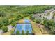 Aerial view of community tennis and basketball courts surrounded by lush trees at 19608 Lonesome Pine Dr, Land O Lakes, FL 34638
