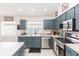 Well-appointed kitchen with stainless steel appliances, blue cabinets, and ample counter space at 34447 Blue Ash Ct, Wesley Chapel, FL 33545