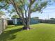 A large tree accentuates the artificial grass backyard with a fence in the background at 4238 Glissade Dr, New Port Richey, FL 34652
