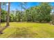 Expansive backyard with lush green lawn and mature trees providing ample shade and privacy at 495 Appaloosa Rd, Tarpon Springs, FL 34688