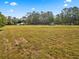 Overview of a large field in front of wooded property at 495 Appaloosa Rd, Tarpon Springs, FL 34688