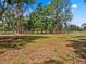 Large, level lot with open space and mature trees, a prime location for your dream home at 495 Appaloosa Rd, Tarpon Springs, FL 34688