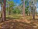 Beautiful wooded lot with open space and mature trees, offering privacy and nature at 495 Appaloosa Rd, Tarpon Springs, FL 34688